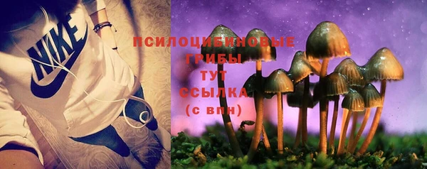 каннабис Медвежьегорск