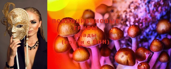jwh Медногорск
