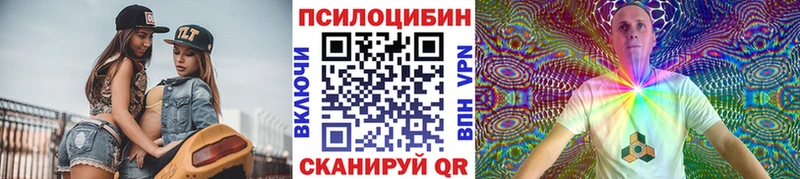 наркота Струнино Галлюциногенные грибы Magic Shrooms